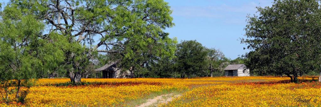 casper-danz-homestead-in-may